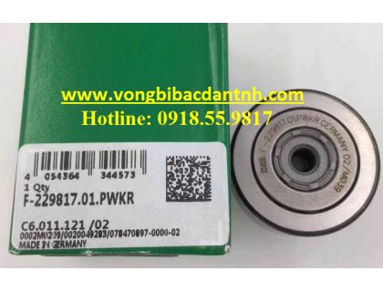 VÒNG BI F-229817.01.PWKR - INA
